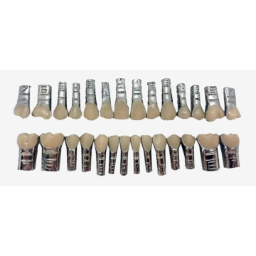 DENTES C/ VESTIBULAR 100% ABERTO C/FAC. C/28 (68)