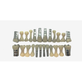 DENTES MISTO 100% ABERTO C/FAC.DECIDUOS ( COR 66)