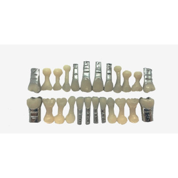 DENTES MISTO 100% ABERTO C/FAC.DECIDUOS ( COR 66)