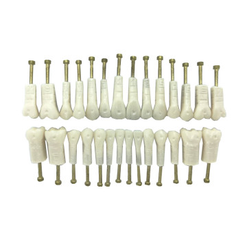 DENTES DE ACRÍLICO C/ PINO NA RAIZ (COR 60) 