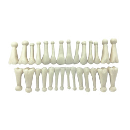 DENTES DE ACRÍLICO C/ BOLINHA NA RAIZ (COR 60)