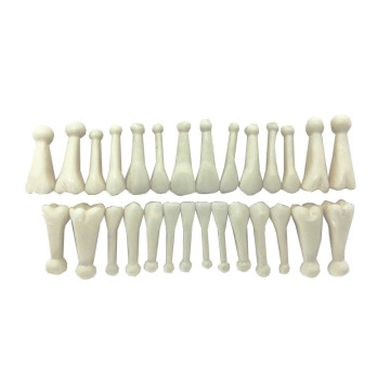 DENTES DE ACRÍLICO C/ BOLINHA NA RAIZ (COR 60)