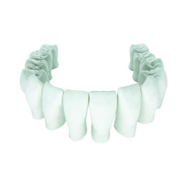 MACRO MODELO INFERIOR C/ 14 DENTES