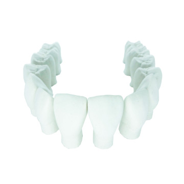 MACRO MODELO SUPERIOR C/ 14 DENTES