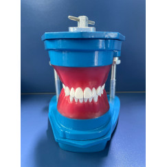 TYPODONT MONTADO METAL COM DENTE DE METAL