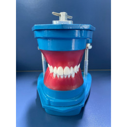 TYPODONT MONTADO METAL COM DENTE DE METAL