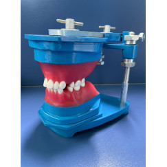 TYPODONT MONTADO METAL COM DENTE DE METAL