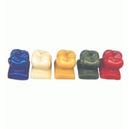KIT CERA MOLAR 5 CORES (MANEQUIM)