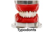 Typodonts - Simulação ortodôntica perfeita