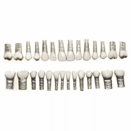 DENTES C/ VESTIBULAR 100% ABERTO C/FAC. C/28 (60)