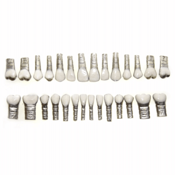 DENTES C/ VESTIBULAR 100% ABERTO C/FAC. C/28 (60)